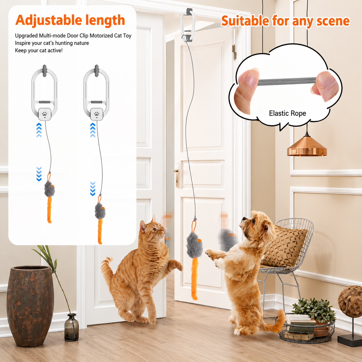 PawsHaus Interactive Cat Toy